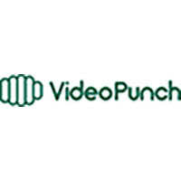 VideoPunch logo