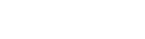 Eagle Software Logo